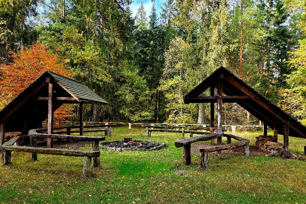 Feuerstelle mittig und zwei Unterstände aus Holz mit Sitzbänken und Tischen aus Holz vor einem herbstlich gefärbtem Wald