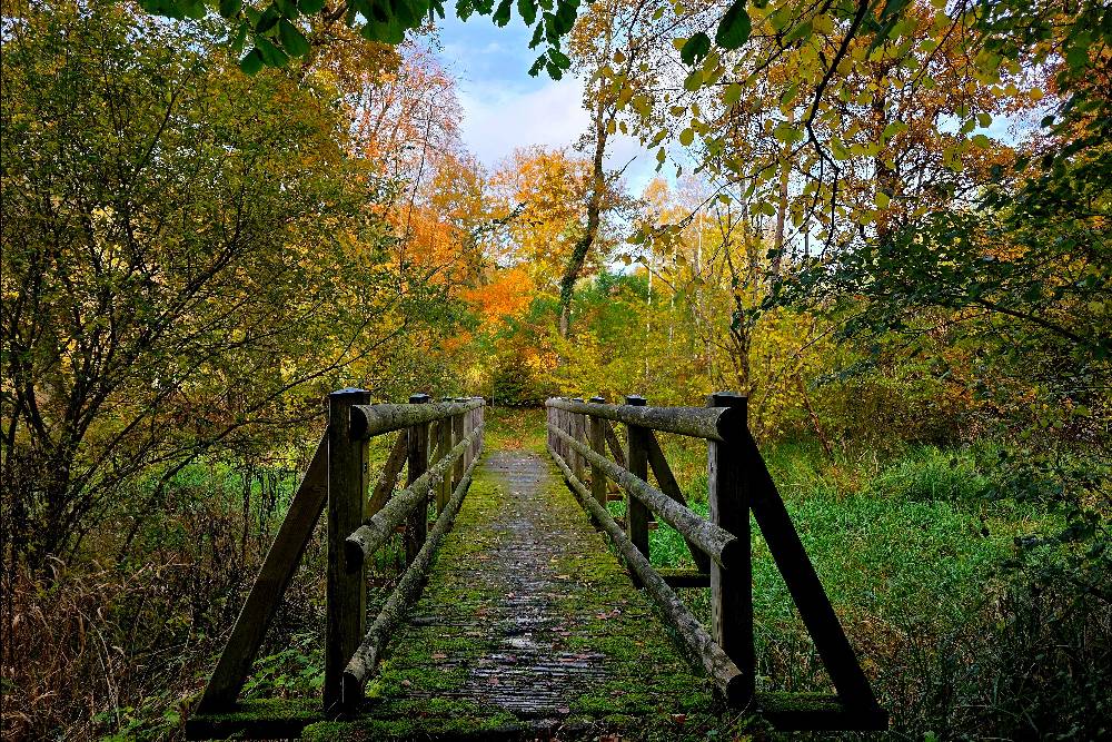Holzbrücke die über einen Bach führt